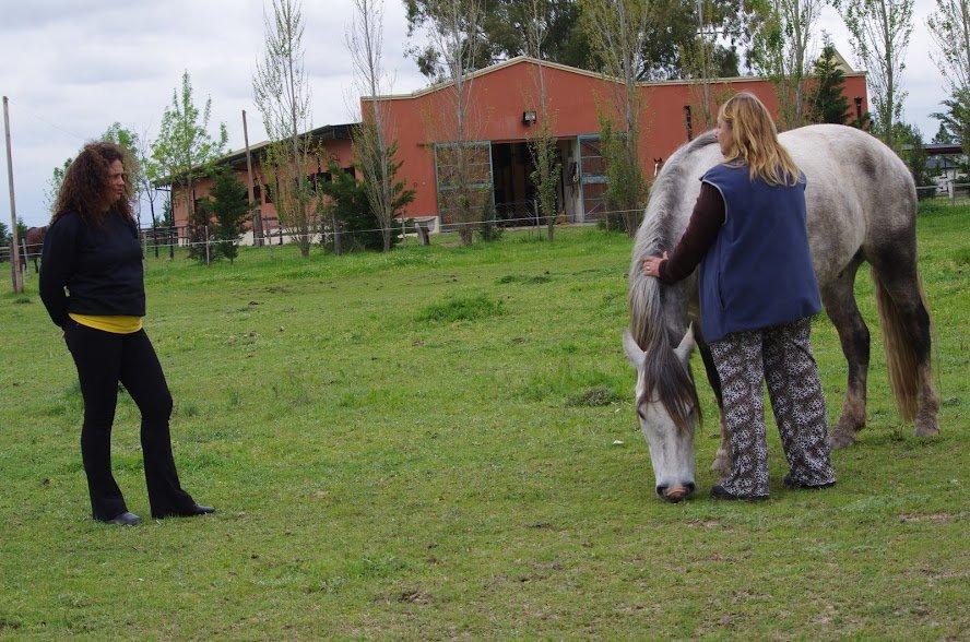 Marly à esquerda observando integrante interagir com cavalo
